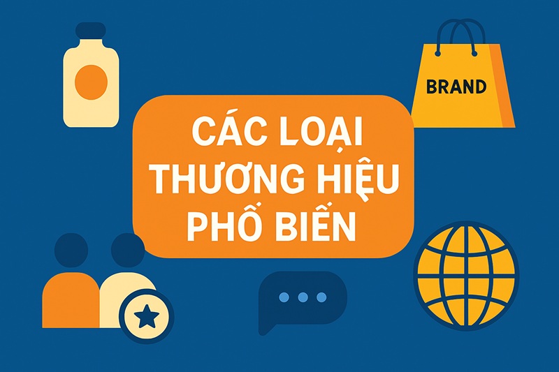 các loại thương hiệu phổ biến