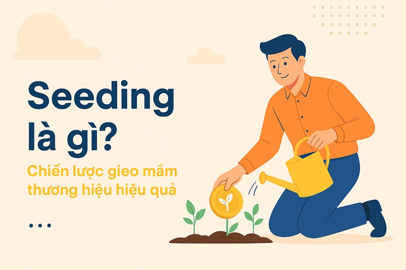 seeding là gì