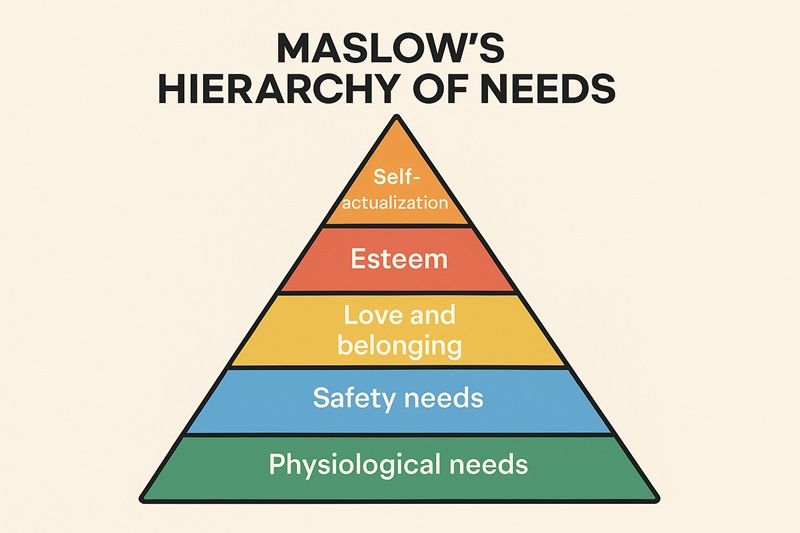 tháp nhu cầu maslow là gì